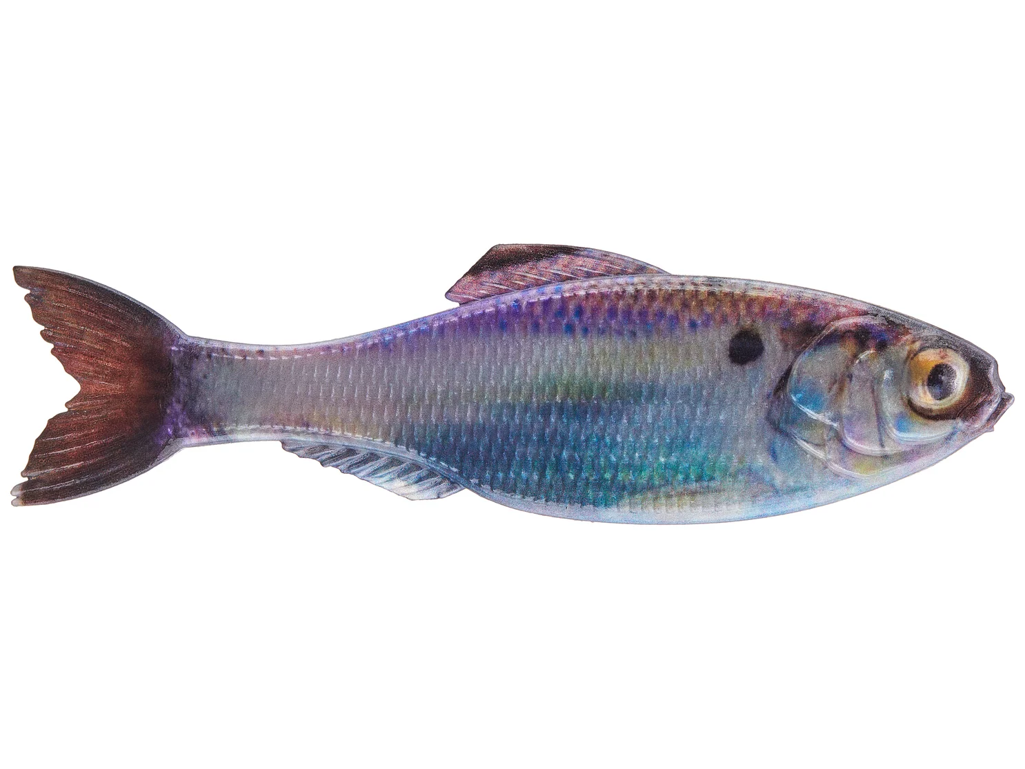 6th Sense Panorama 3.5" 6pz (Varios Colores)